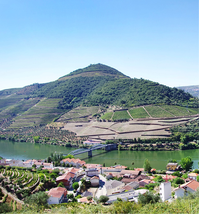 Landscape of Douro vineyards in Pinhão, Portugal. Rolling green hills can be seen backing the winding river.