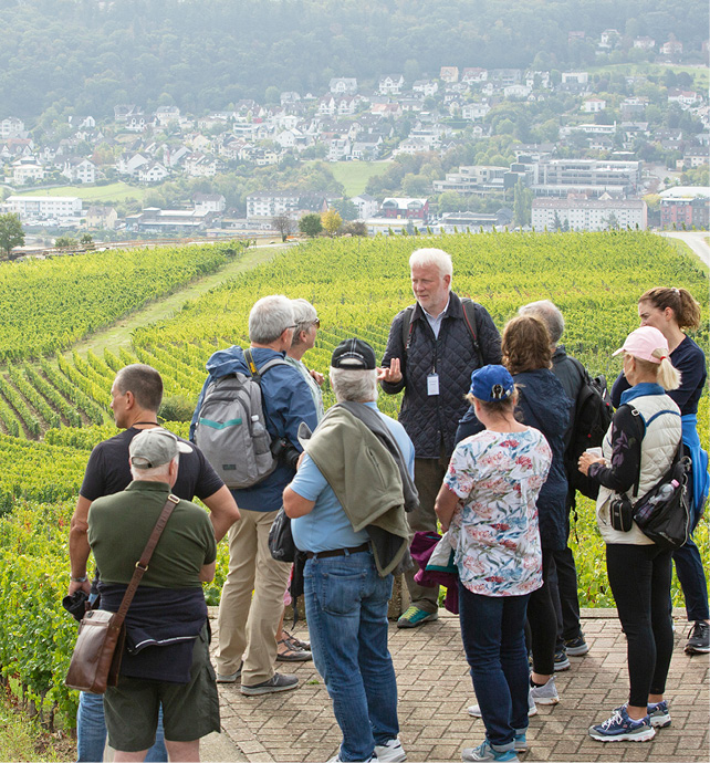 Guests taking part in an active vineyard hike to Niederwalddenkmal, Germany